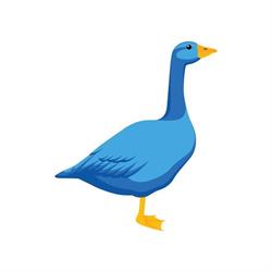 Blue Goose Occupational Therapy