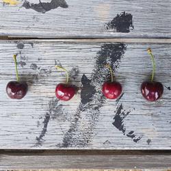 Woodstock Cherries Pty Ltd