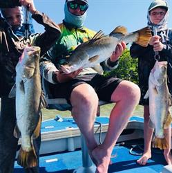All Tackle Sportfishing Cairns