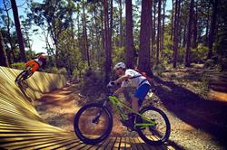 Hollybank Mountain Bike Park