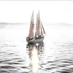 SV Rhona H