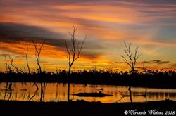 Lara Station Wetlands