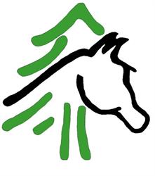 Pine Ridge Horse Agistment
