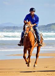 HWH Stables - Upper Orara & Boambee Beach