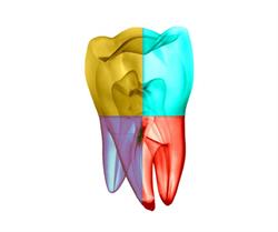 Seville Dental Clinic