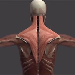 John Barilari Sports Myotherapy