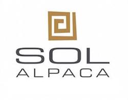 Sol Alpaca at QVB