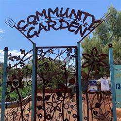 Alice Springs Community Garden