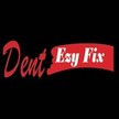 Dent Ezy Fix P/L