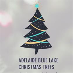 Adelaide Blue Lake Christmas Trees