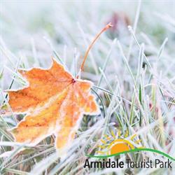 Armidale Tourist Park