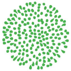 Urban Forest Care
