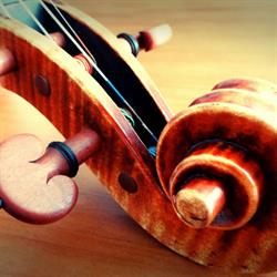 Dalseno String Studio