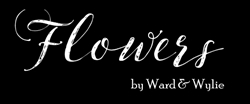 Flowers by Ward & Wylie