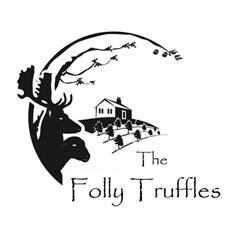 The Folly Ballandean