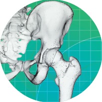 Bone and Body Healthscan
