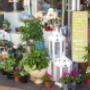 Florist Cherrybrook