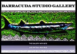 Barracuda Studio Gallery