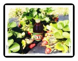 Iceberries Pty Ltd