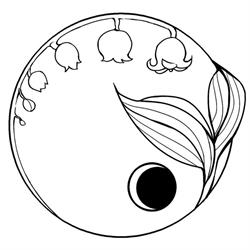 Moon Lily Kitchen and Cakes