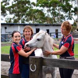Albany Saddlery