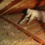 Insulation Removal Melbourne