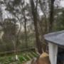 Blue Mountains Retreat