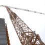 Self Erecting Cranes