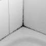 Bathroom Mould