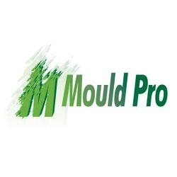Mould Pro