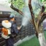 Eco Pest Control Brisbane