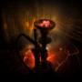 Shisha Delivery