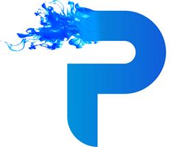 Platinum Web Media
