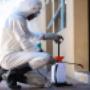 Your Local Pest Control Experts