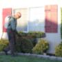 pest control