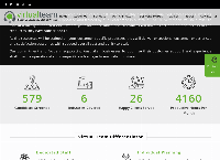 Virtual Team's website