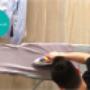 Jarvis Home Services