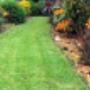 Lawn Services