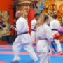 Casey Elite Martial Arts