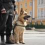 security