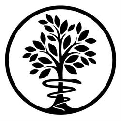 Stony Chute Herbals