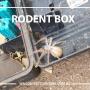Wilson's Pest Control - Servicing Sydney metro - General Pest, Termites, Wasps, Ants, Bees, cockroches, German Cockroach, Rodents, Fleas, Spiders Blacktown, Parramatta, Baulkham Hills, Kellyville