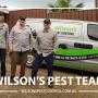 Wilson's Pest Control - Servicing Sydney metro - General Pest, Termites, Wasps, Ants, Bees, Rodents, Fleas, Spiders Blacktown, Parramatta, Baulkham Hills, Kellyville, Stanhope Gardens