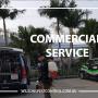 Wilson's Pest Control - Servicing Sydney metro - General Pest, Termites, Wasps, Ants, Bees, cockroches, German Cockroach, Rodents, Fleas, Spiders Blacktown, Parramatta, Baulkham Hills, Kellyville