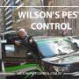 Wilson's Pest Control - Servicing Sydney metro - General Pest, Termites, Wasps, Ants, Bees, Rodents, Spiders, Fleas,