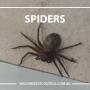 Wilson's Pest Control - Servicing Sydney metro - General Pest, Termites, Wasps, Ants, Bees, cockroches, German Cockroach, Rodents, Fleas, Spiders Blacktown, Parramatta, Baulkham Hills, Kellyville