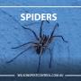 Wilson's Pest Control - Servicing Sydney metro - General Pest, Termites, Wasps, Ants, Bees, cockroches, German Cockroach, Rodents, Fleas, Spiders Blacktown, Parramatta, Baulkham Hills, Kellyville