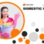 Domestic cleaning