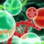 bio