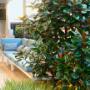 Bloom Design and Landscaping